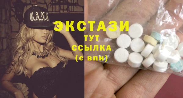 ГАЛЛЮЦИНОГЕННЫЕ ГРИБЫ Козловка