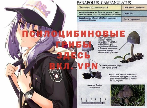 ALPHA-PVP Нефтекумск