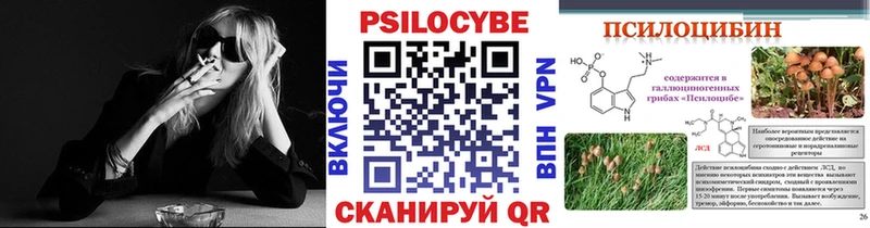 Псилоцибиновые грибы Psilocybe Приволжск